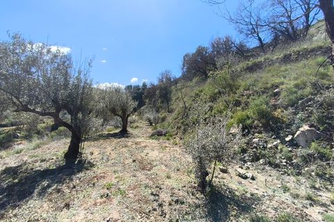 Herregård i Alcoleja, Alicante, Alcoleja - € 50 000 | Ref: 10420 - foto 5